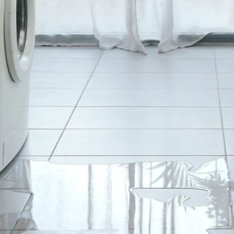 Appliance Leak Cleanup in Rockdale, TX