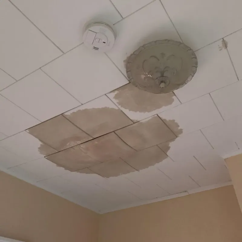 Ceiling Water Damage Repair in Rockdale, TX