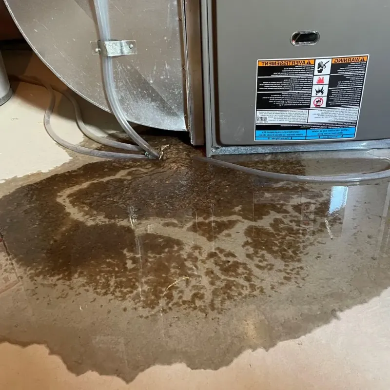 Pipe Burst and Leak Restoration in Rockdale, TX