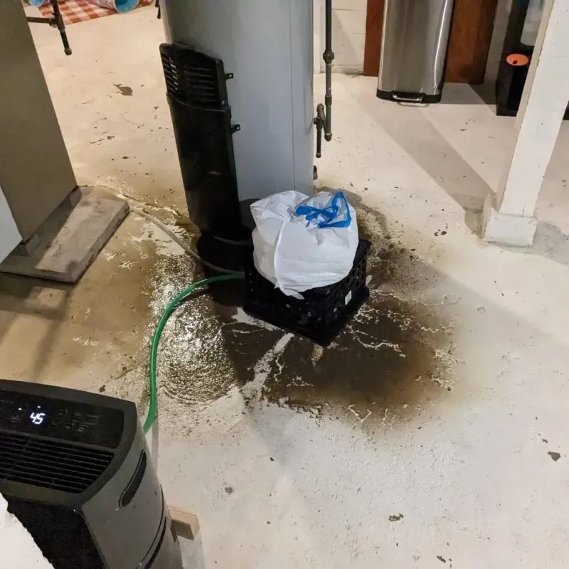 Sewage Backup Cleanup Service in Rockdale, TX